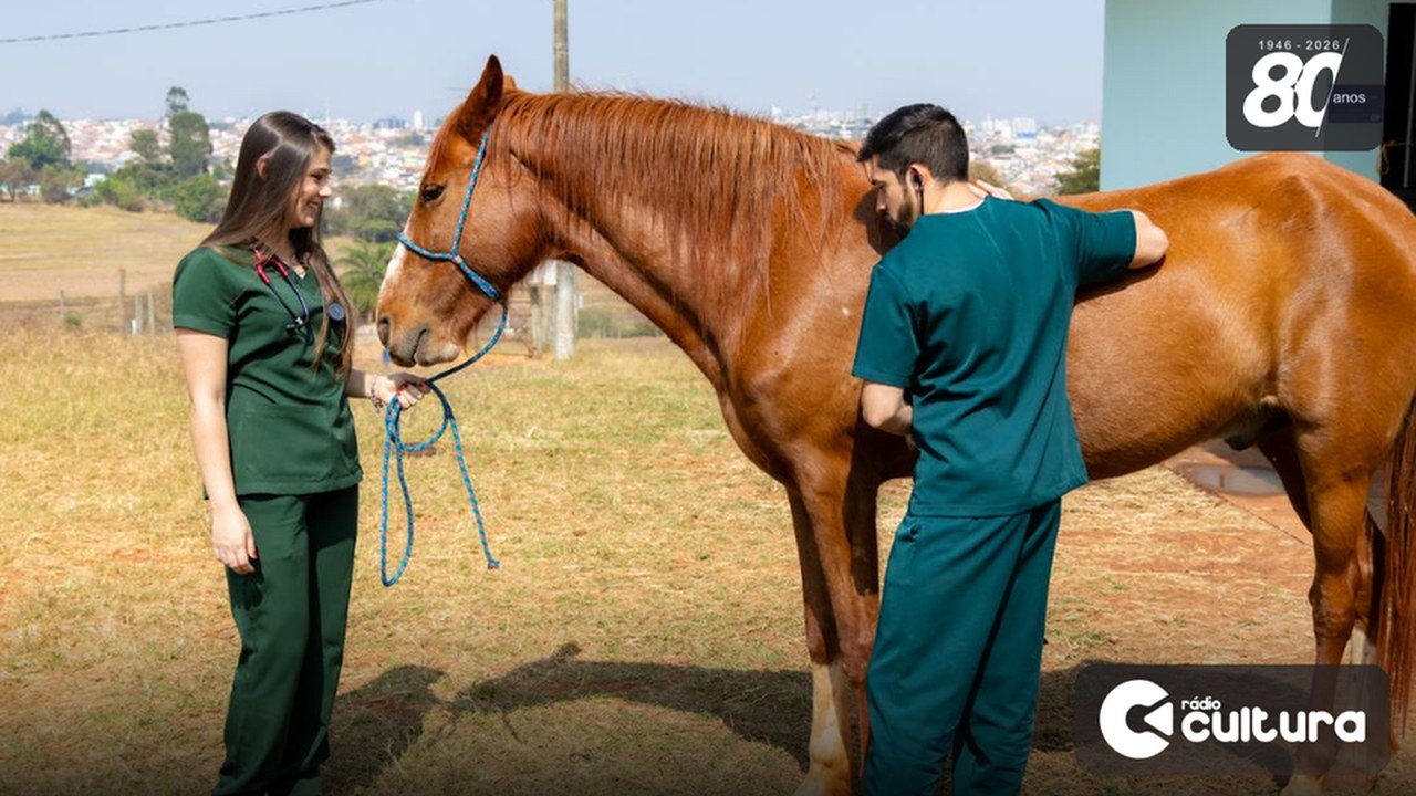 UFLA tem 19 vagas de residência em Medicina Veterinária e inscrições terminam nesta sexta