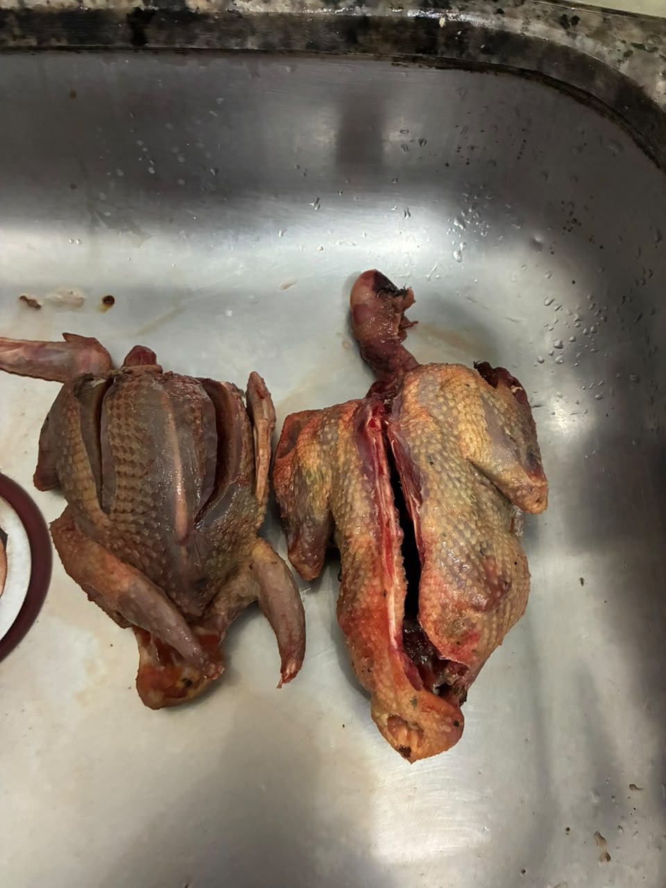 Pombos silvestres abatidos encontrados com os suspeitos. Foto: Divulgação/PMMG