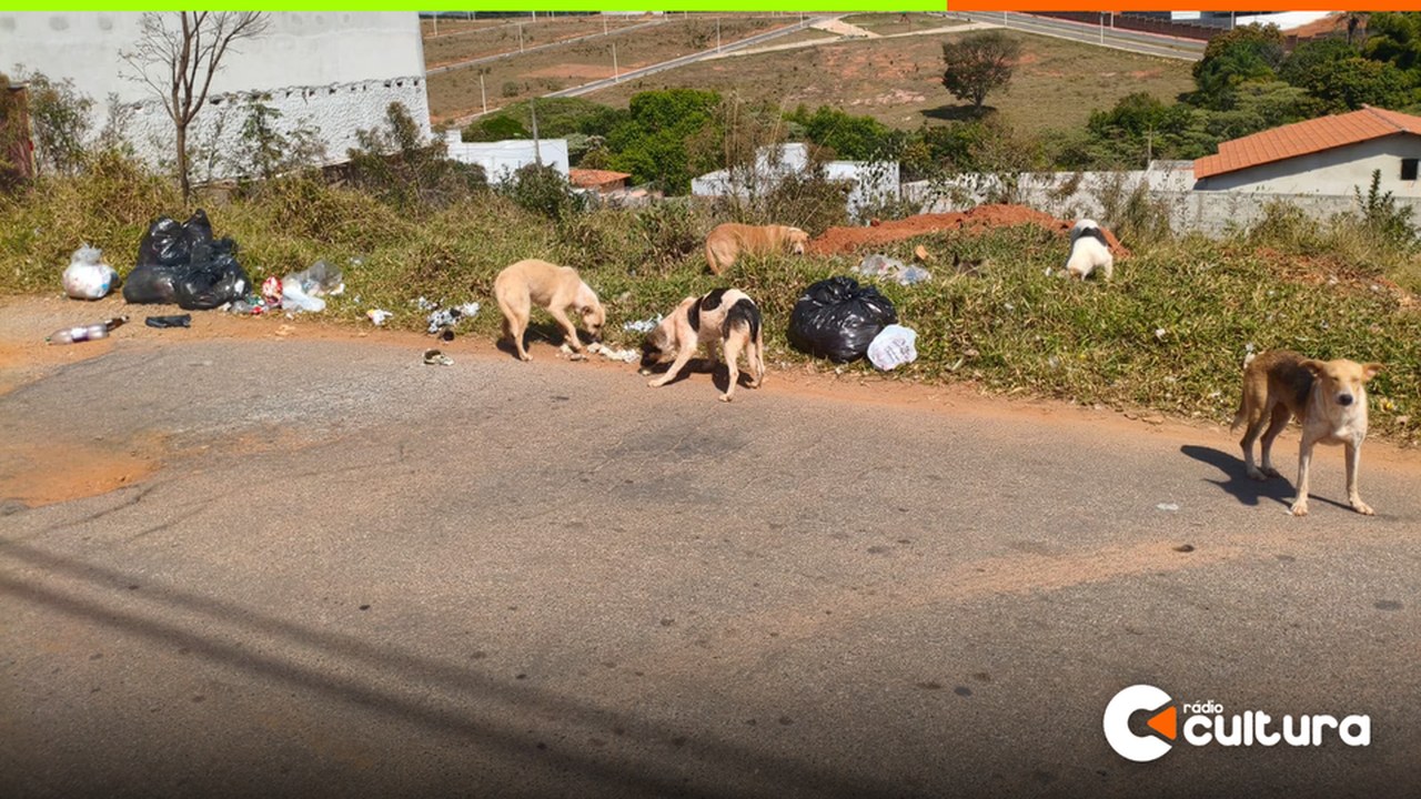 Lavras vai pagar 20% da multa a quem fotografar descarte irregular de lixo