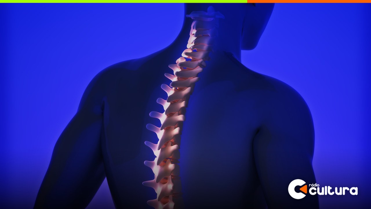 Cirurgião diz ter feito em Moscou o primeiro transplante de medula espinhal do mundo; cientistas pedem cautela