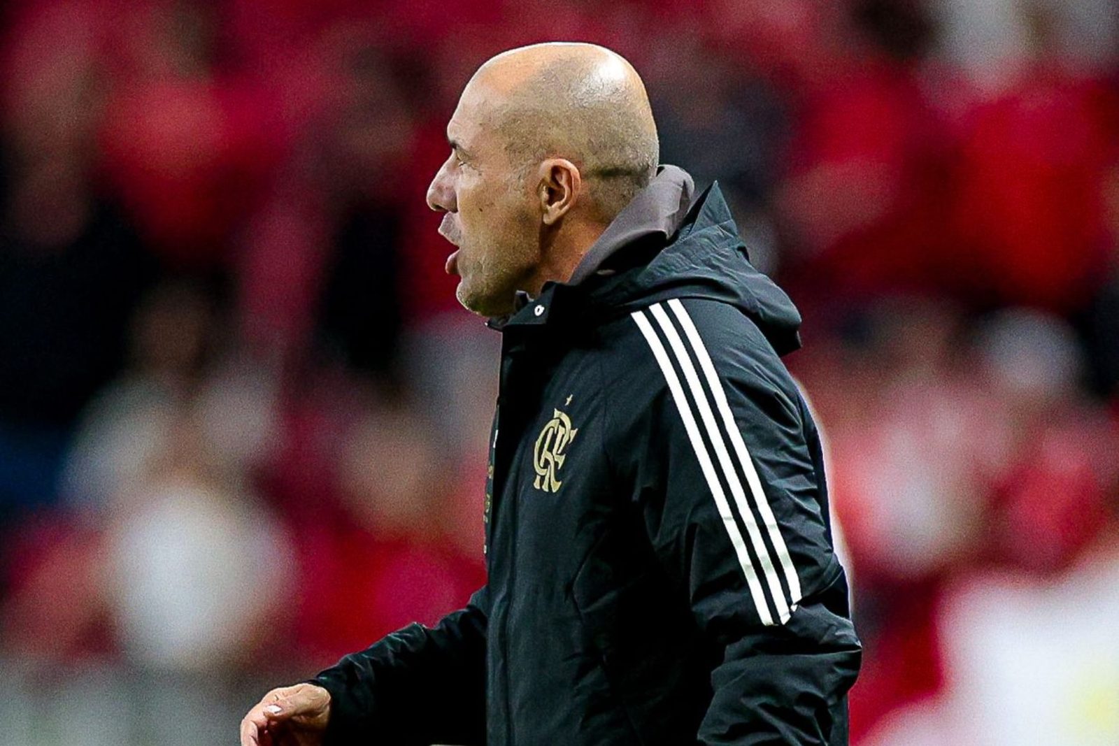Leonardo Jardim no comando do Rubro-Negro