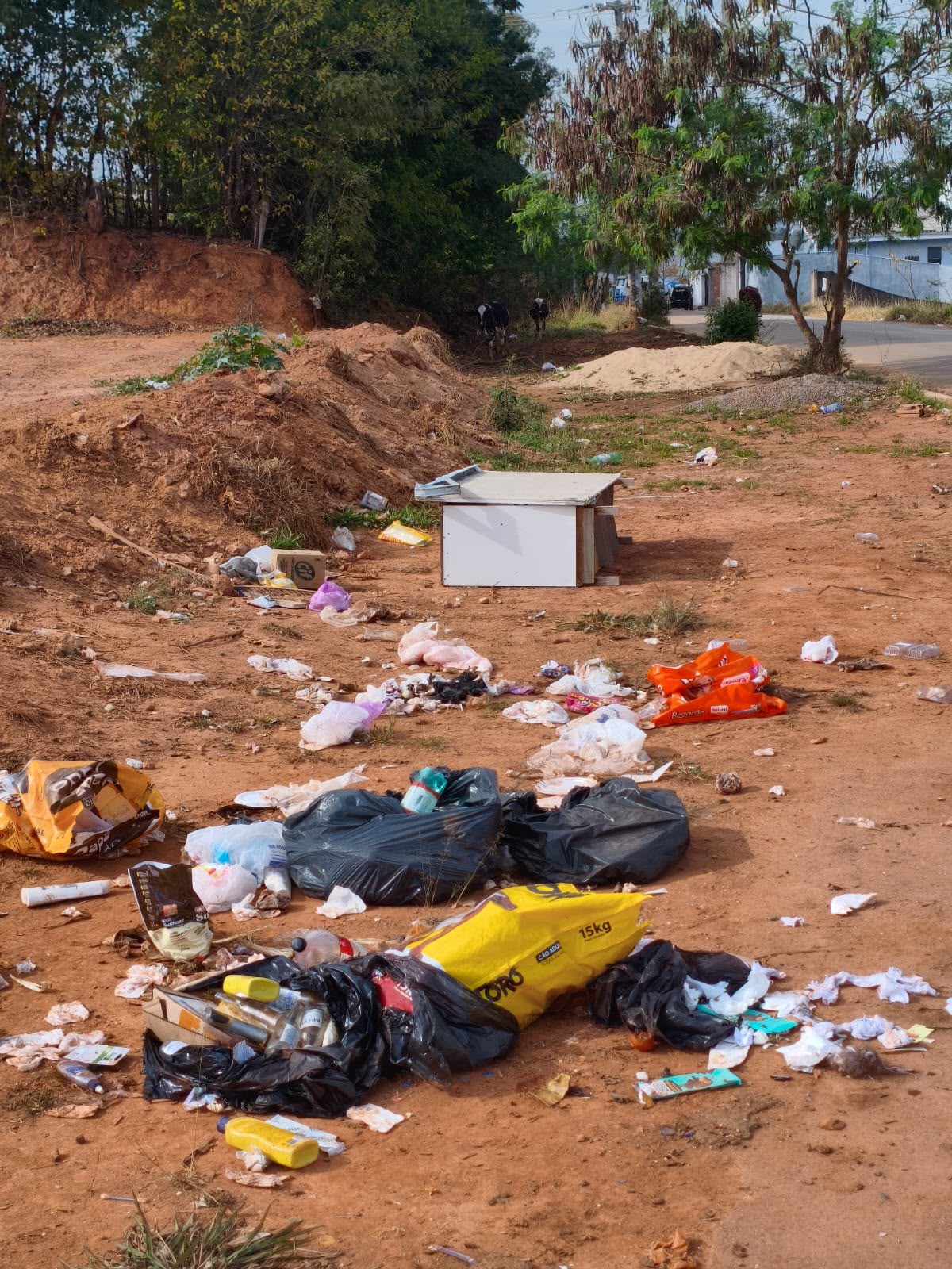 Sacos de lixo, embalagens e um móvel abandonados em terreno às margens de rua em Lavras. Foto: Arquivo/Rádio Cultura